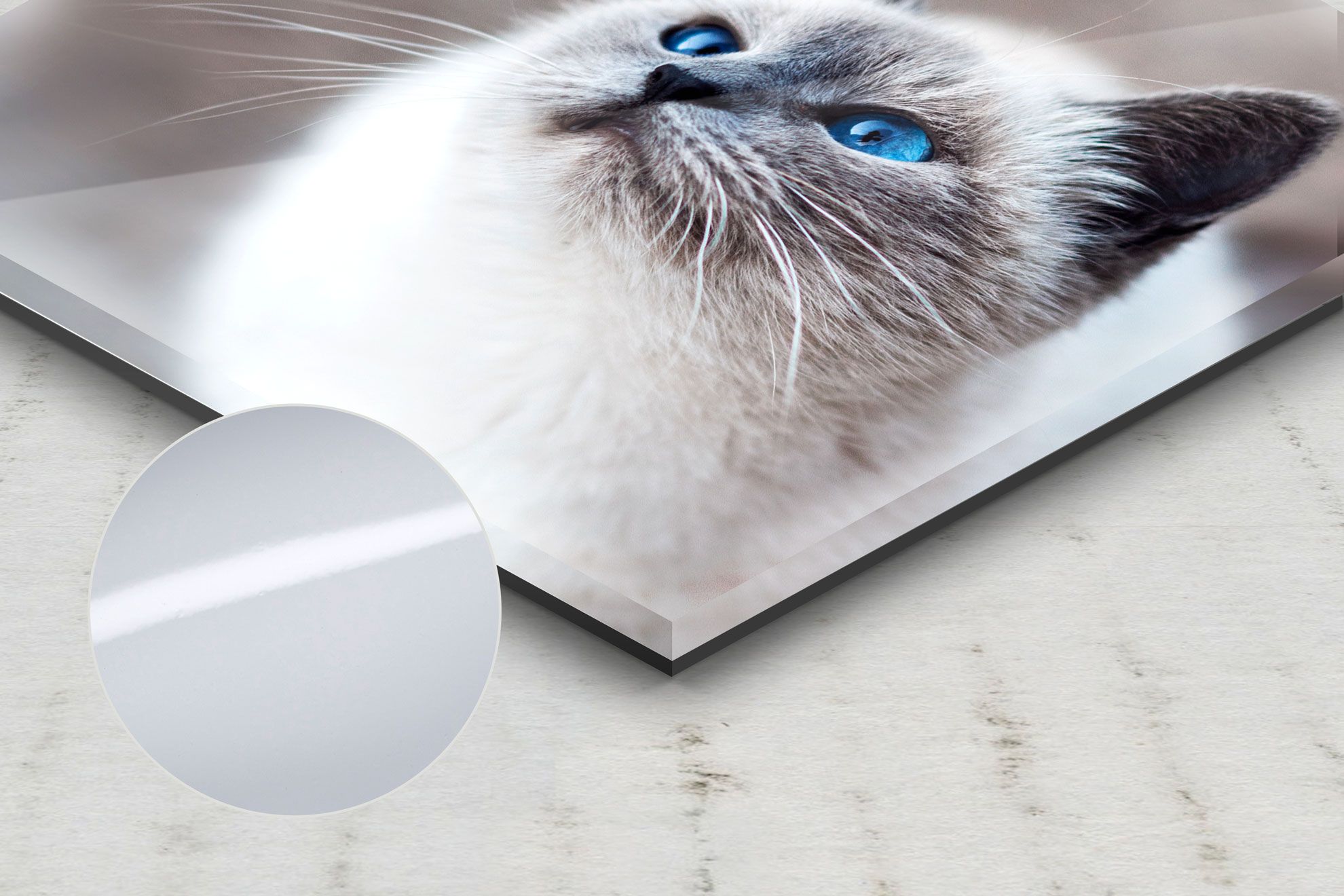 Questa stampa su vetro acrilico presenta un ritratto di gatto brillante con colore eccezionale e nitidezza dei dettagli. La finitura lucida e la durata del vetro acrilico creano un effetto di visualizzazione premium ideale per la decorazione di casa o ufficio. La stampa su vetro acrilico preserva i dettagli fotografici fini producendo stampe vivaci e durature perfette per l'arte da parete persona…