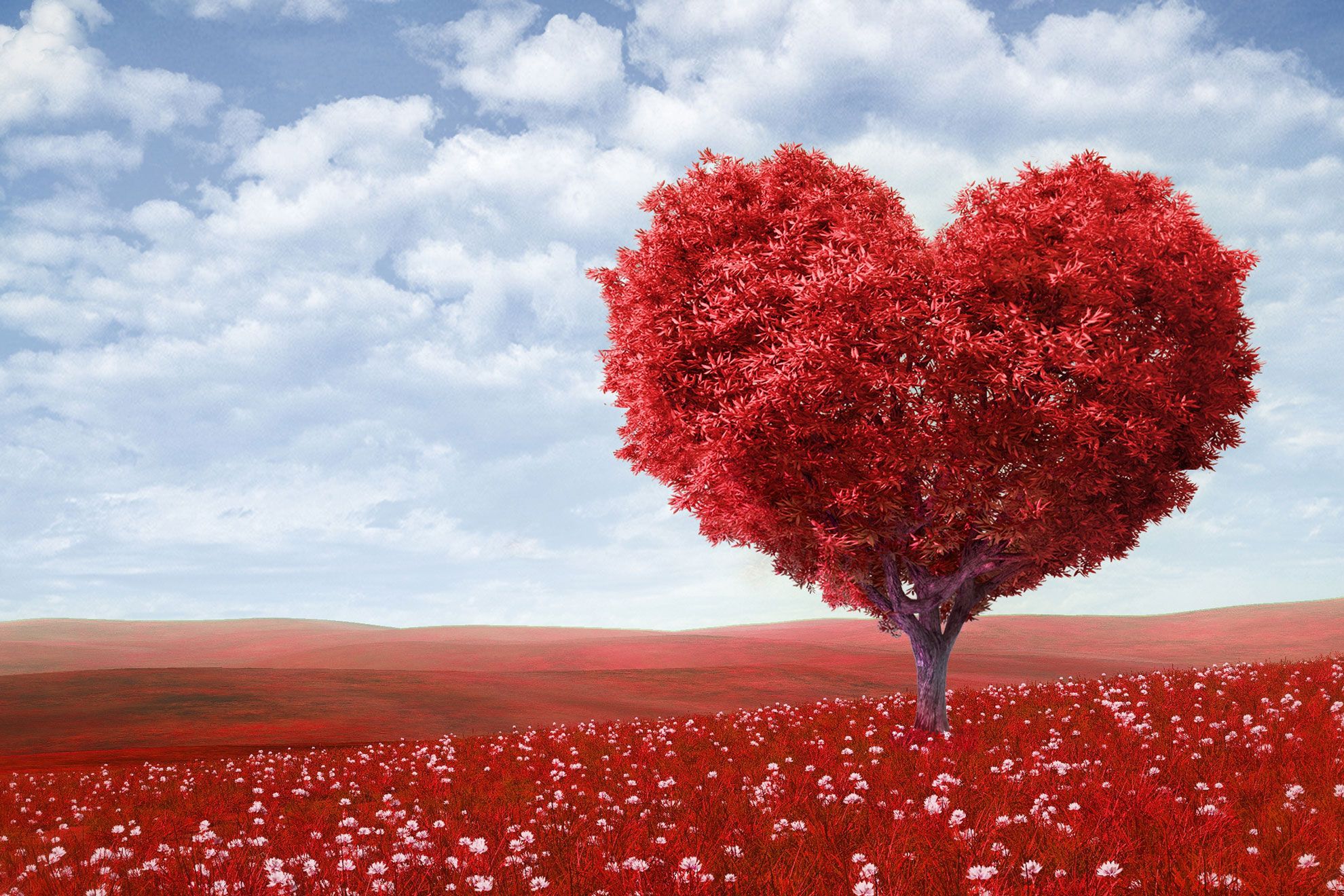 Stampa albero a forma di cuore con fogliame rosso vivido circondato da fiori in paesaggio romantico surrealista. Perfetta per cartoline, poster e stampe personalizzate di San Valentino con appeal artistico. Immagine suggestiva ideale per esprimere l'amore in modo creativo o i temi di San Valentino.