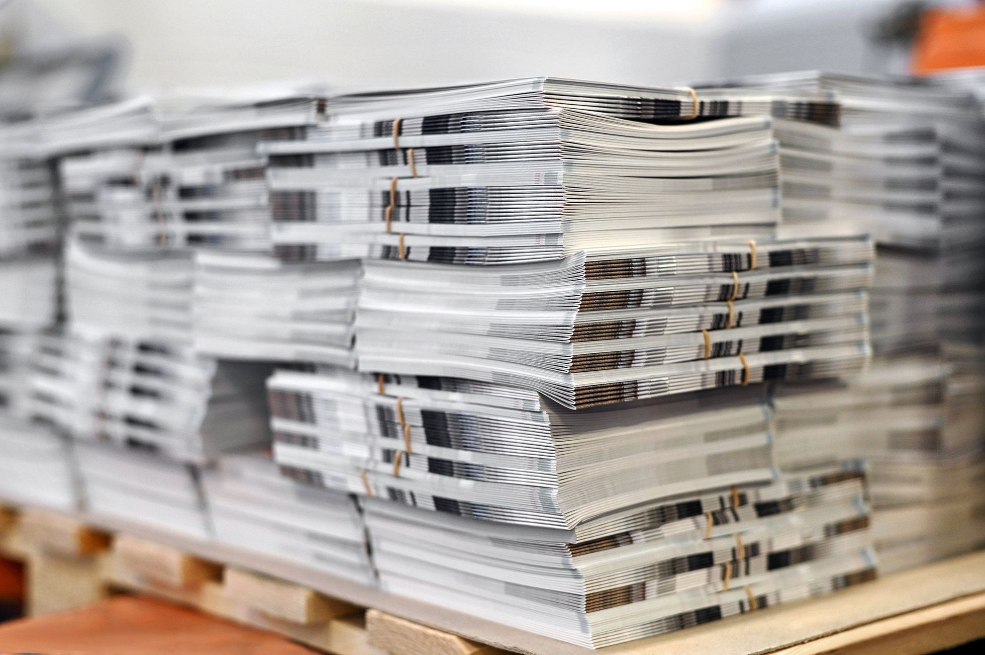 Stampa offset fedelta cromatica uniforme dalla prima all'ultima copia produzione su larga scala. Sprint24.