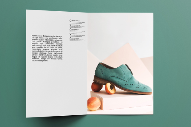 Brochure pieghevole A4 professionale tri-piega contenuti marketing fotografia prodotto. Sprint24.