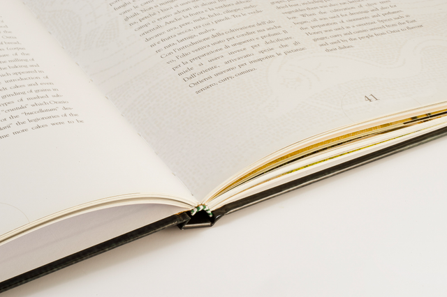 Vista interna che mostra la qualità costruttiva di un libro cartonato premium con rilegatura cucita visibile lungo il dorso. I nastri dorati migliorano la funzionalità e l'appeal lussuoso, dimostrando le finiture prestigiose delle edizioni cartonato stampate professionalmente. Questa immagine evidenzia la sofisticazione della rilegatura e la qualità delle pagine dei libri cartonato di pregio.