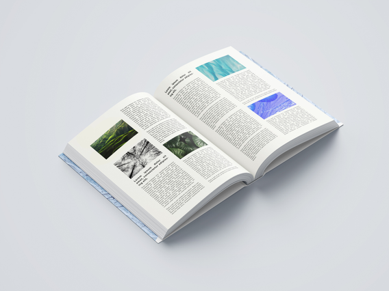 Sperimenta le pubblicazioni professionali con rilegatura filo refe, ideali per cataloghi personalizzati e materiali di marketing. La rilegatura a filo refe combina durabilità e estetica raffinata per presentazioni di grande impatto. Le nostre soluzioni di stampa personalizzata offrono risultati di qualità con tempi di consegna rapidi e affidabili.