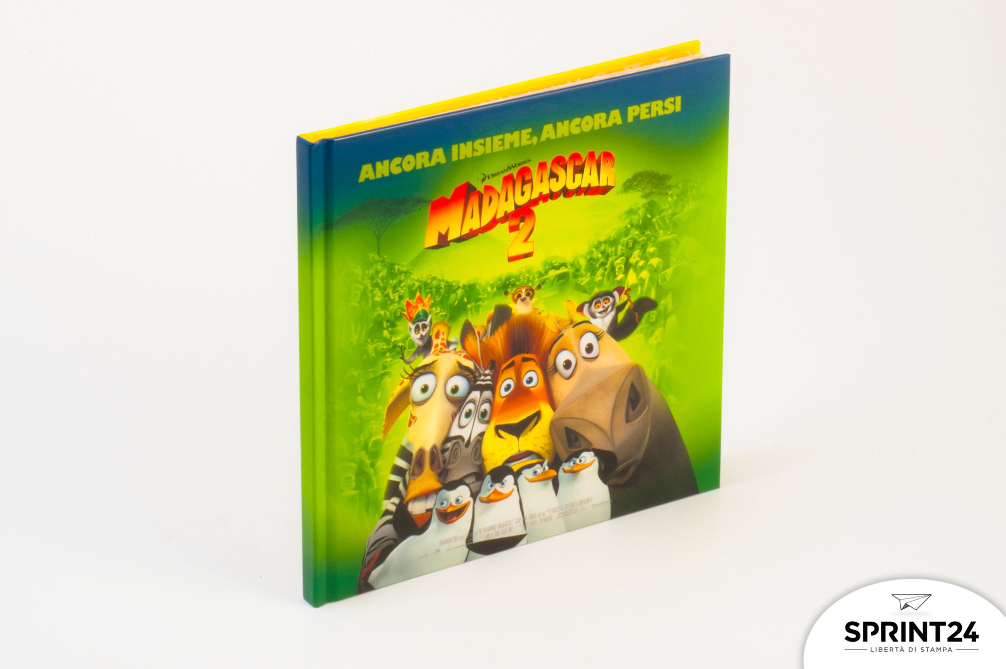 Stampa online volume cartonato Madagascar 2 Stampa online volume cartonato Madagascar 2