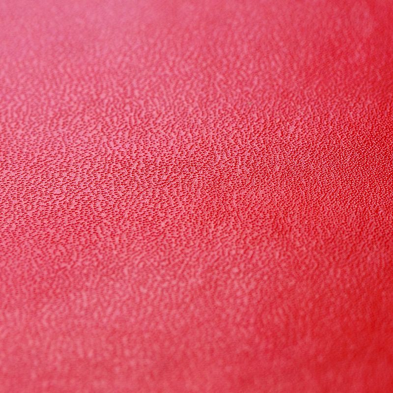 Copertina rigida in pelle rossa: Copertina realizzata in similpelle rossa (Skinplast: spalmato in pvc e cartoncino) e anima in cartone rigido.