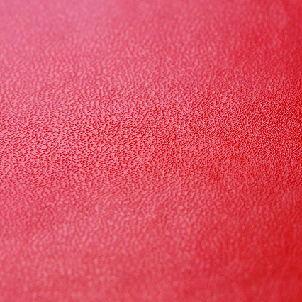 Copertina rigida in pelle rossa: Copertina realizzata in similpelle rossa (Skinplast: spalmato in pvc e cartoncino) e anima in cartone rigido.