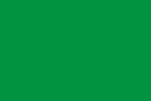 Verde: Il **verde** è un colore vivace e affascinante, perfetto per personalizzare i tuoi prodotti di stampa. Noi offriamo servizi di stampa online di alta qualità ch…